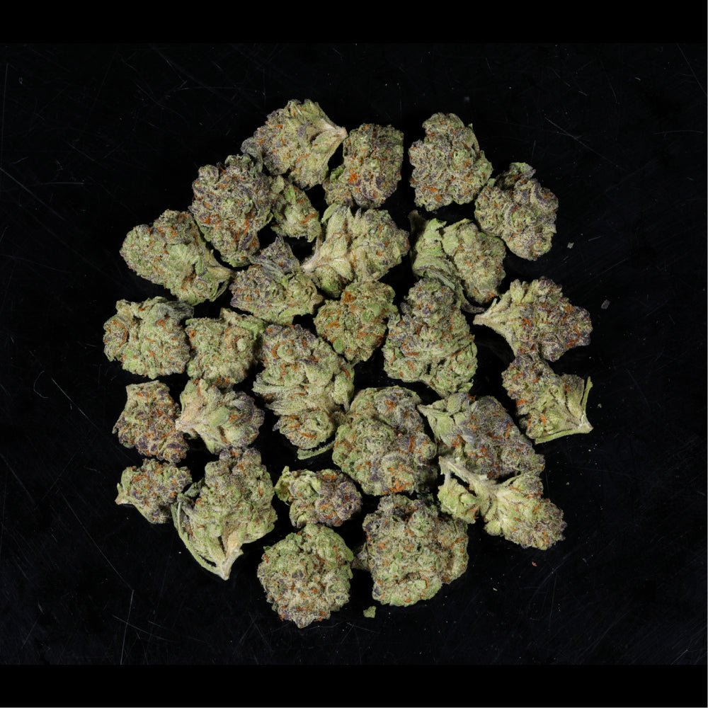 Jealous Runtz THCA Flower - Lost In Translation