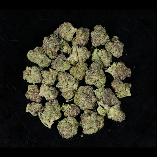 Purple Sunrise THCA Flower