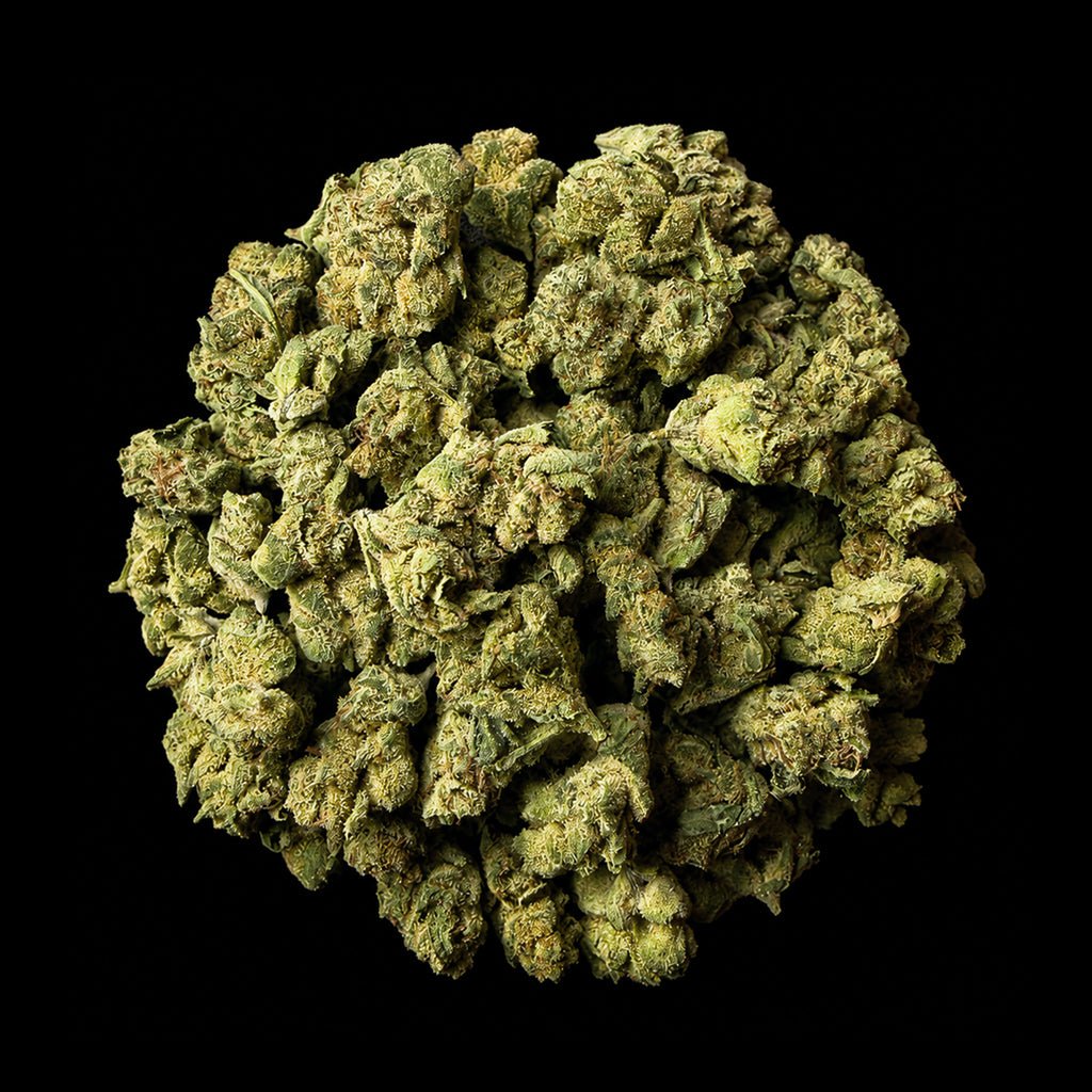 Garlic Sauce THCA Flower - Lost In Translation