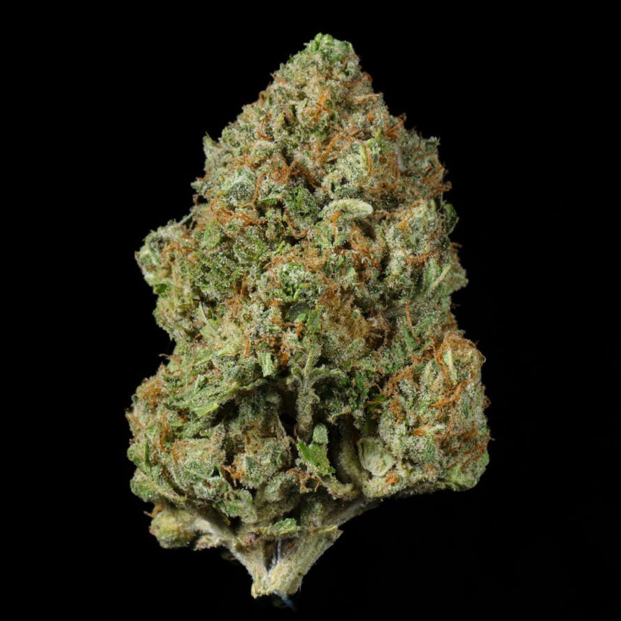 Gary OG THCA Flower - Lost In Translation