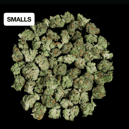 Gary Payton THCA Flower - Lost In Translation