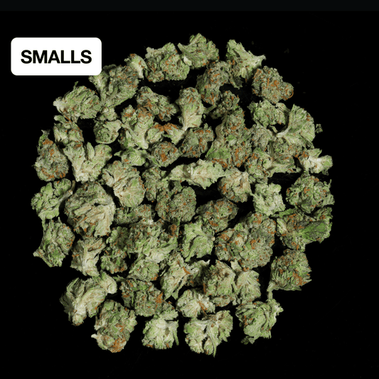 Gary Payton THCA Flower - Lost In Translation