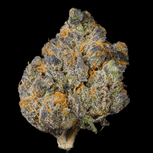 Gas Face THCA Flower - Lost In Translation