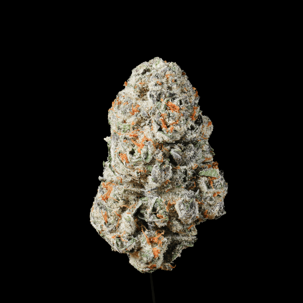 Gas Face THCA Flower - Lost In Translation