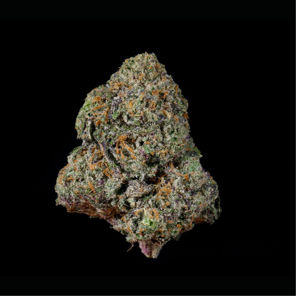 Gaslight THCA Flower - Lost In Translation