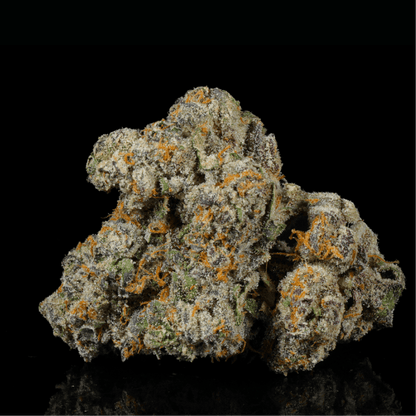 Gas Light THCA Flower - Lost In Translation