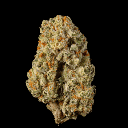 Gas Light THCA Flower - Lost In Translation