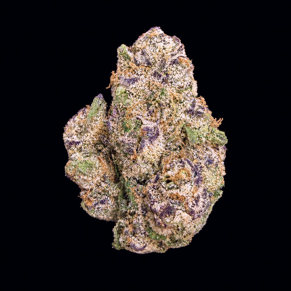Gelato 33 THCA Flower - Lost In Translation