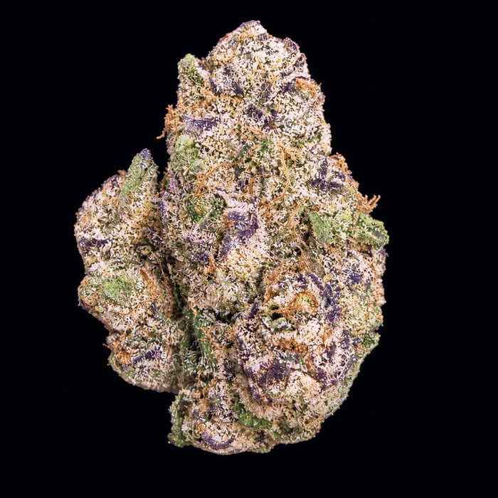 Gelato 33 THCA Flower - Lost In Translation
