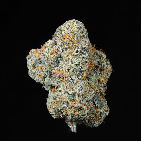 Gelato #33 THCA Flower