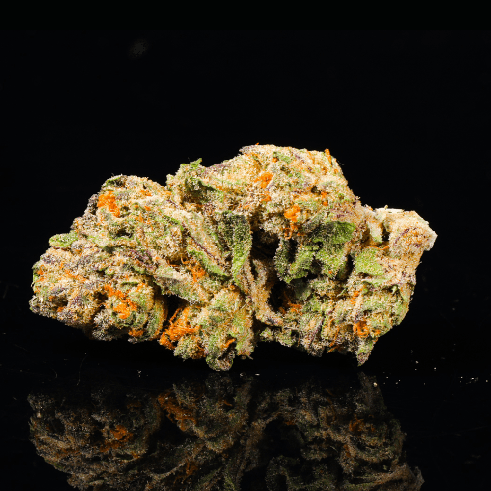 Gelato Cake THCA Flower - Lost In Translation