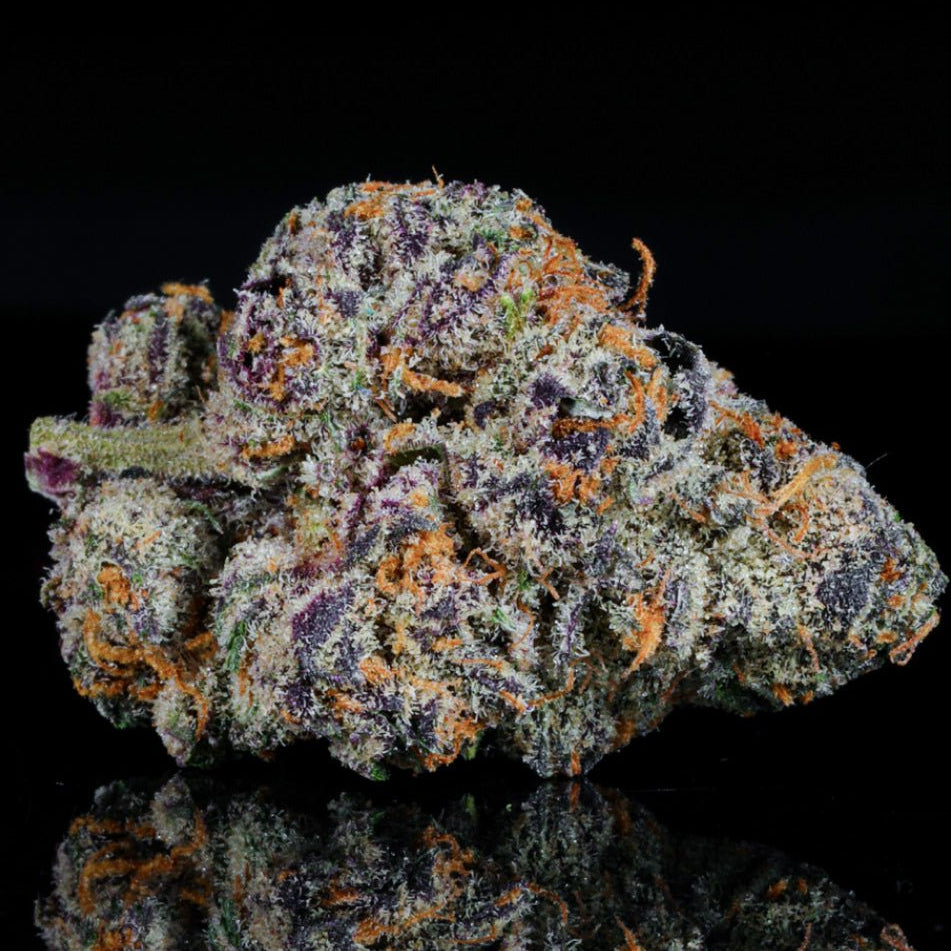 Gelato 33 THCA Flower - Lost In Translation