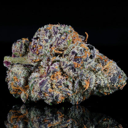 Gelato 33 THCA Flower - Lost In Translation