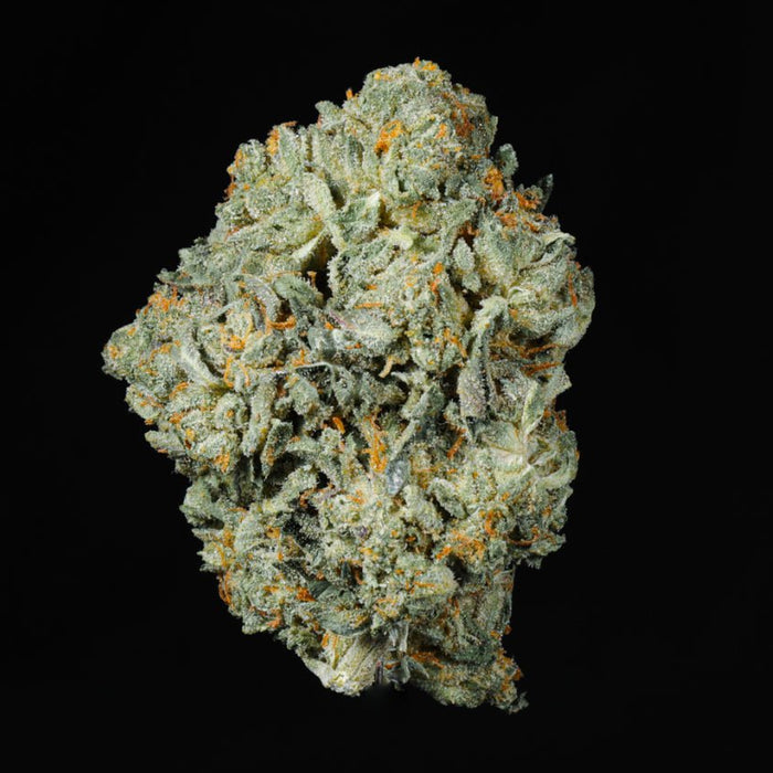 Gelato 33 THCA Flower - Lost In Translation