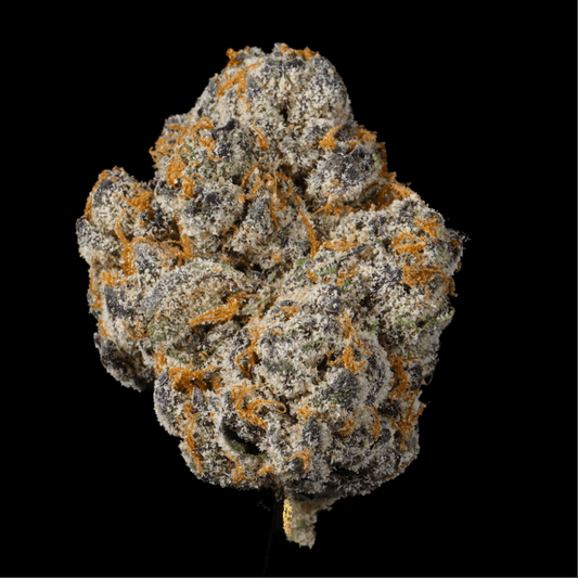 Gelato Ice THCA Flower - Lost In Translation