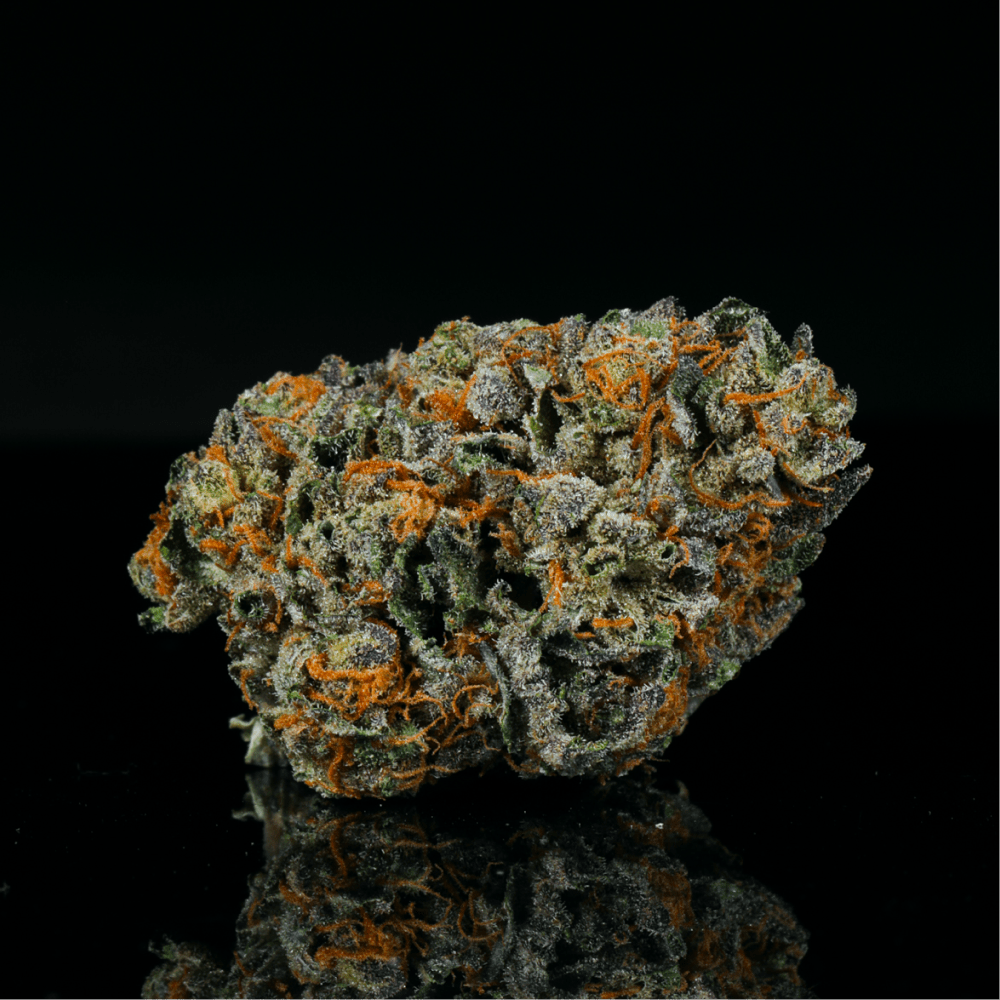 Gelatti THCA Flower - Lost In Translation