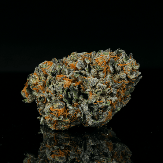 Gelatti THCA Flower - Lost In Translation