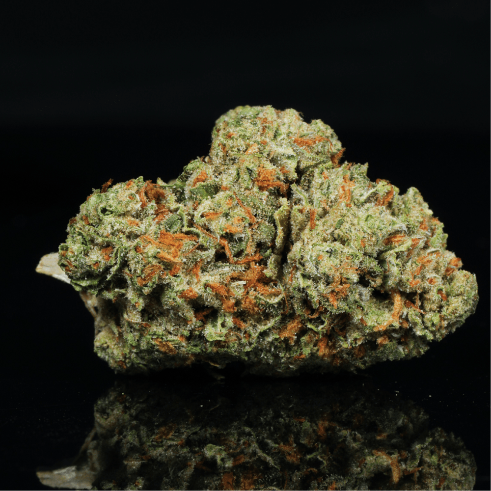 Gelatti THCA Flower - Lost In Translation