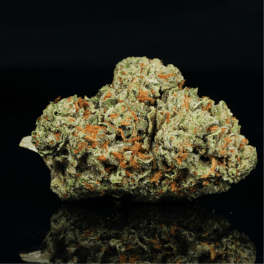 Gelatti THCA Flower - Lost In Translation