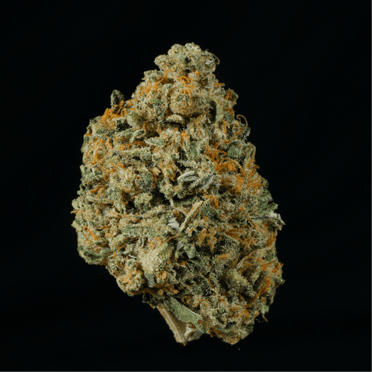 Golden Pineapple THCA Flower - Lost In Translation