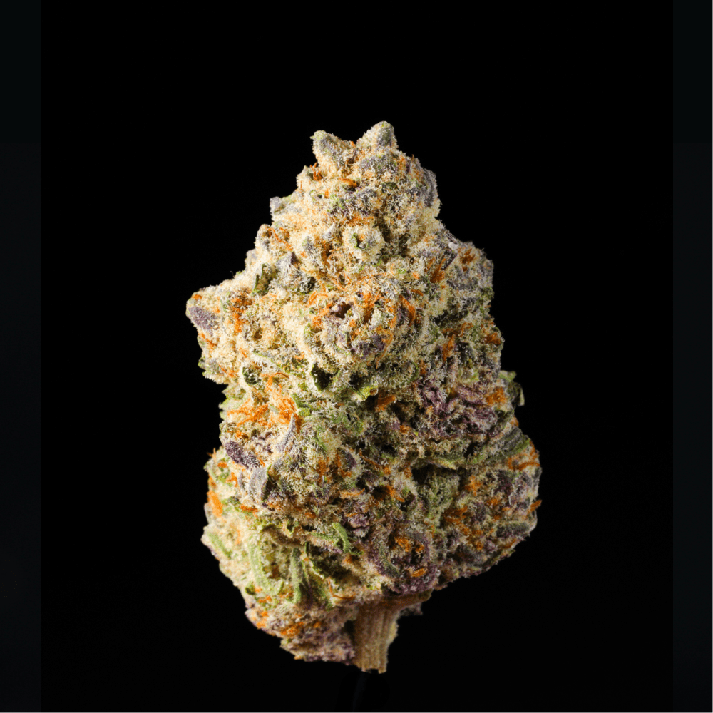 Government Oasis THCA Flower - Lost In Translation