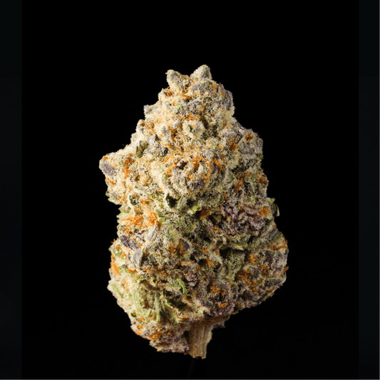 Government Oasis THCA Flower - Lost In Translation