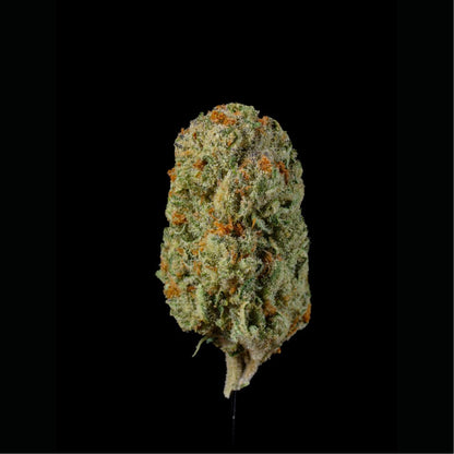 Gran Turismo THCA Flower - Lost In Translation