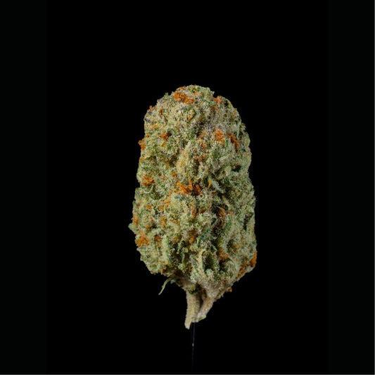 Gran Turismo THCA Flower - Lost In Translation