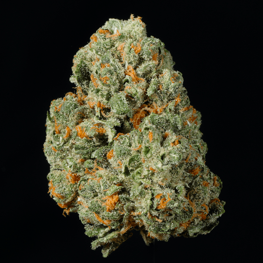 Grape Cake THCA Flower - Lost In Translation