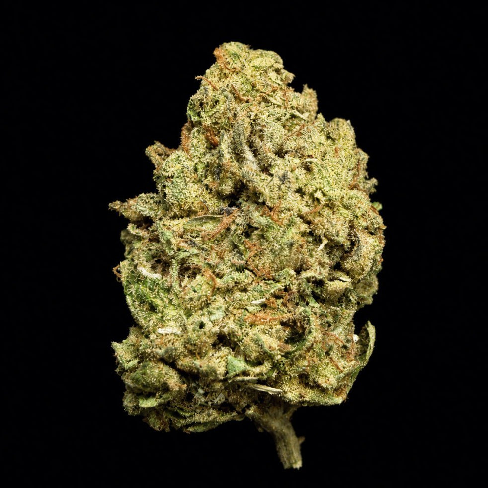 Gruntz THCA Flower - Lost In Translation