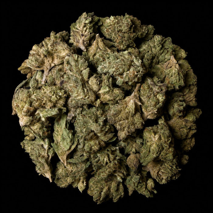 Guava Runtz THCA Flower - Lost In Translation