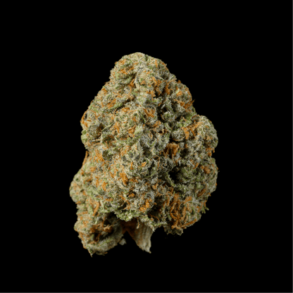 Gumbo THCA Flower - Lost In Translation