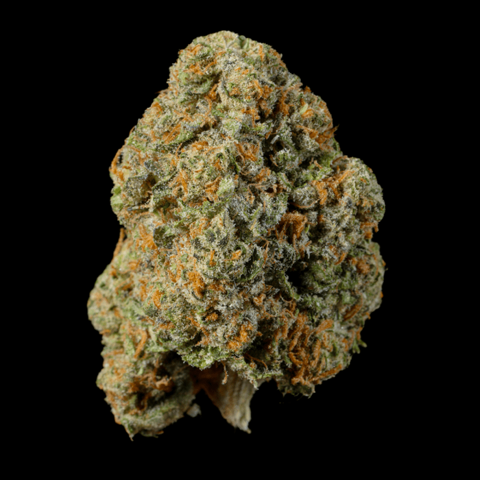 Gumbo THCA Flower - Lost In Translation