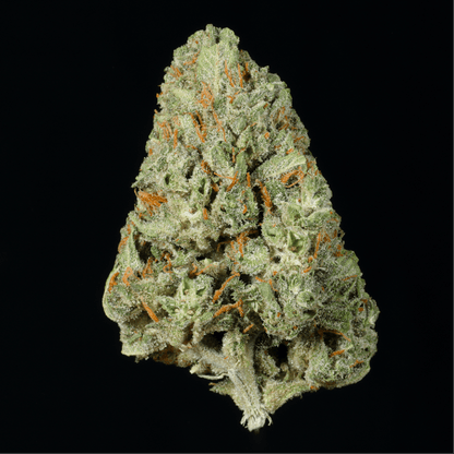 Gushers THCA Flower - Lost In Translation