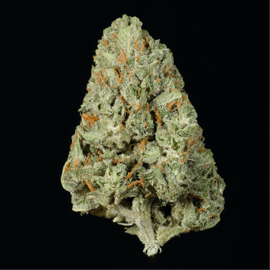 Gushers THCA Flower - Lost In Translation