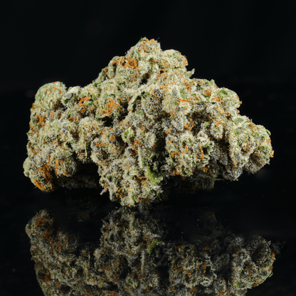 Rainbow Marker THCA Flower - Lost In Translation