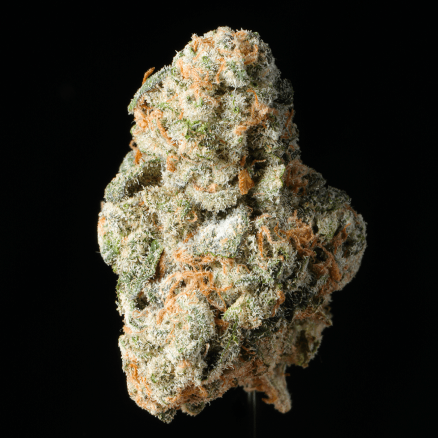 Hi - Octane THCA Flower - Lost In Translation