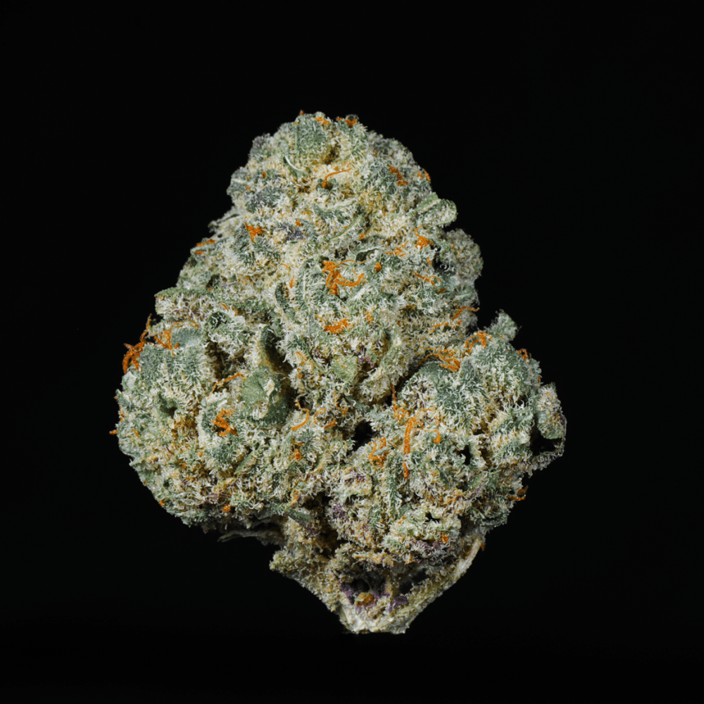 Highlighter THCA Flower - Lost In Translation