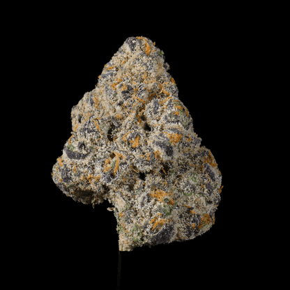 Highlighter THCA Flower - Lost In Translation