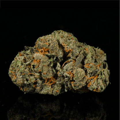 Ice Cream Cake THCA Flower - Lost In Translation