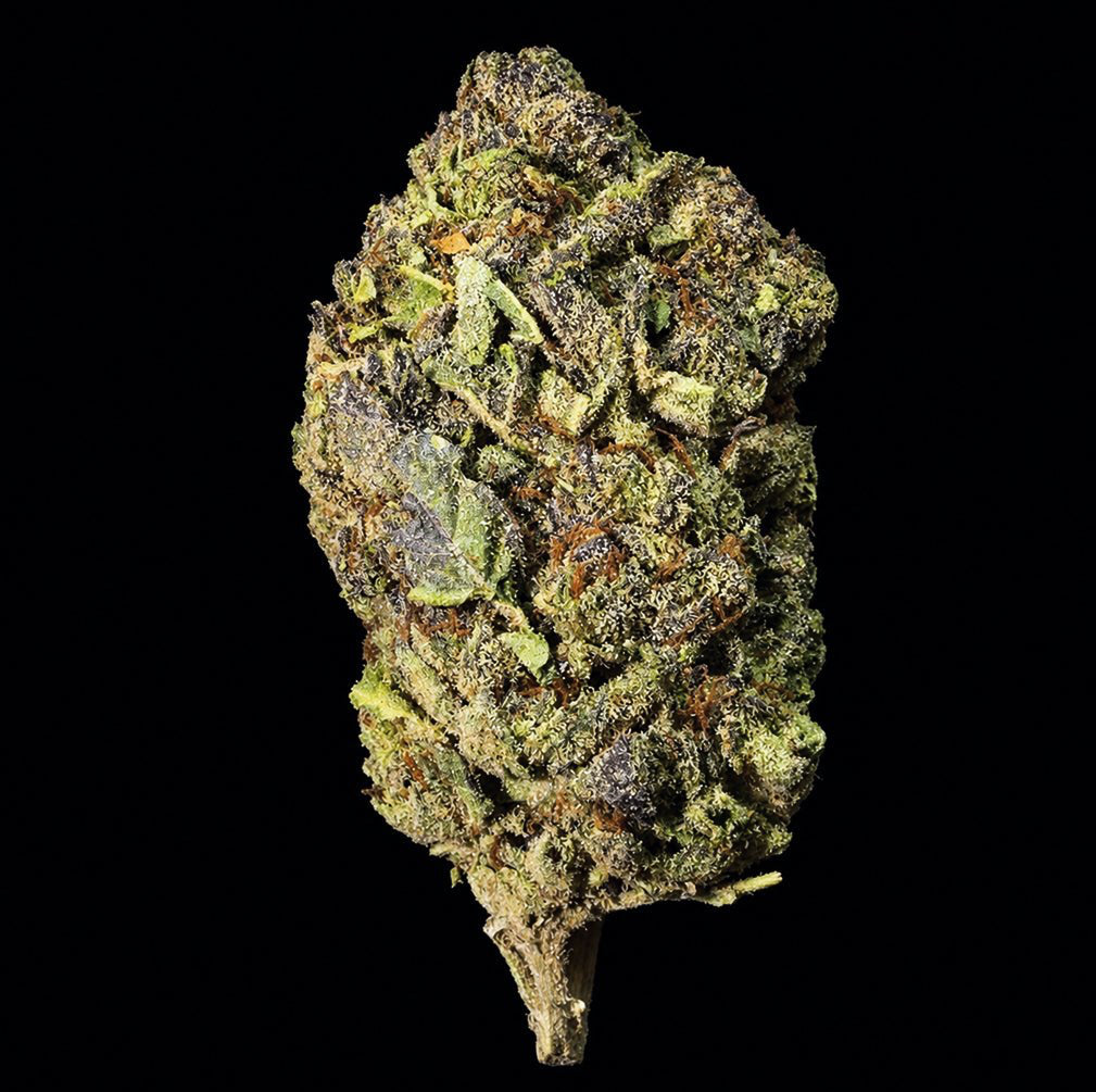 Ice Cream Runtz THCA Flower - Lost In Translation