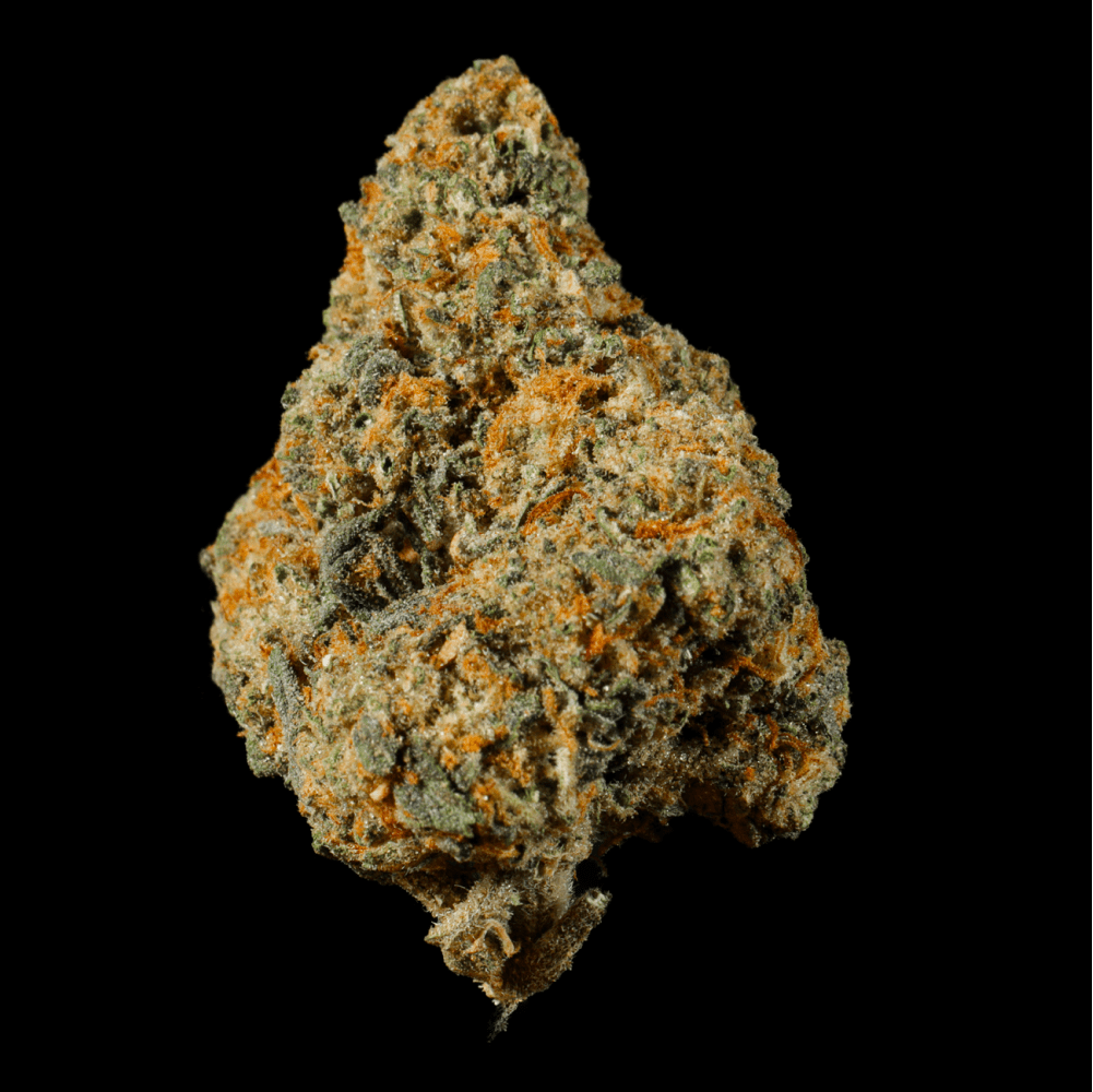 Ice Cream Cake THCA Flower - Lost In Translation