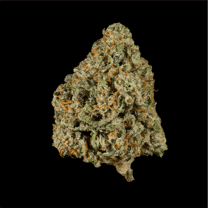 Ice Cream Cake THCA Flower - Lost In Translation