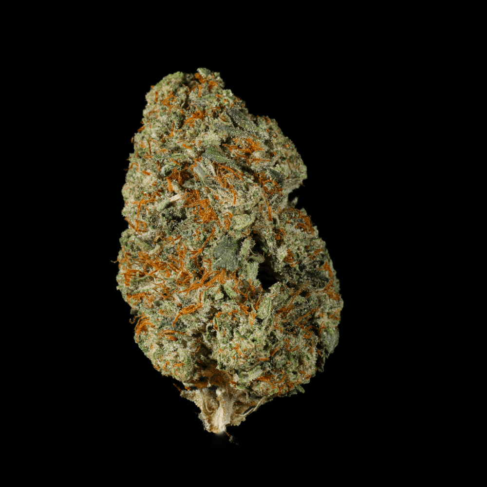 Ice Cream Cookies THCA Flower - Lost In Translation