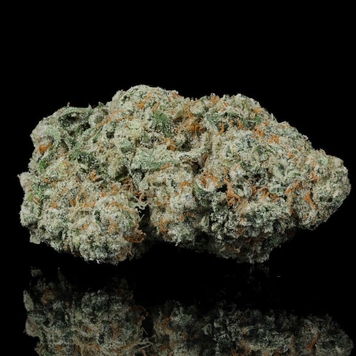 Ice Cream Runtz THCA Flower - Lost In Translation