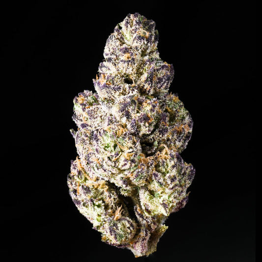 Jealousy THCA Flower - Lost In Translation