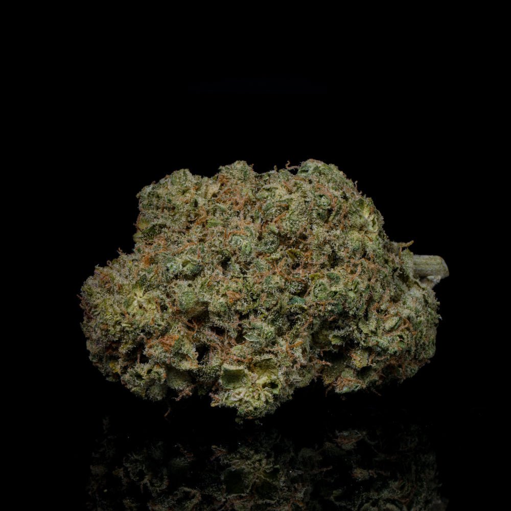 Jelly Cake THCA Flower - Lost In Translation