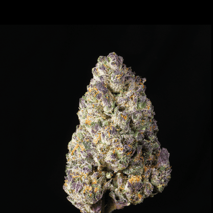 Jelly Cake THCA Flower - Lost In Translation