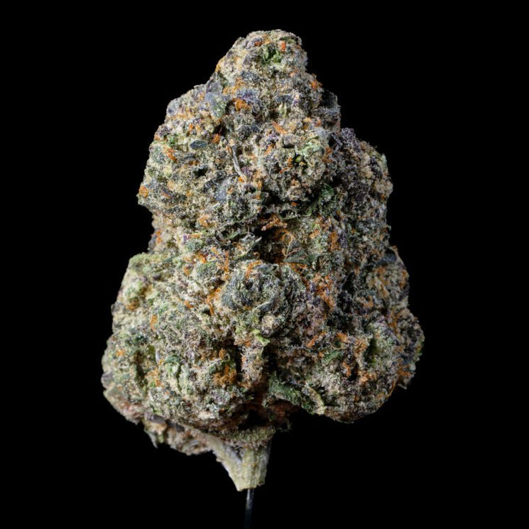 Jelly Cake THCA Flower - Lost In Translation