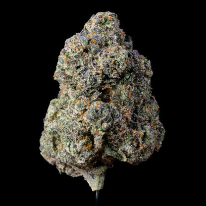 Jelly Cake THCA Flower - Lost In Translation